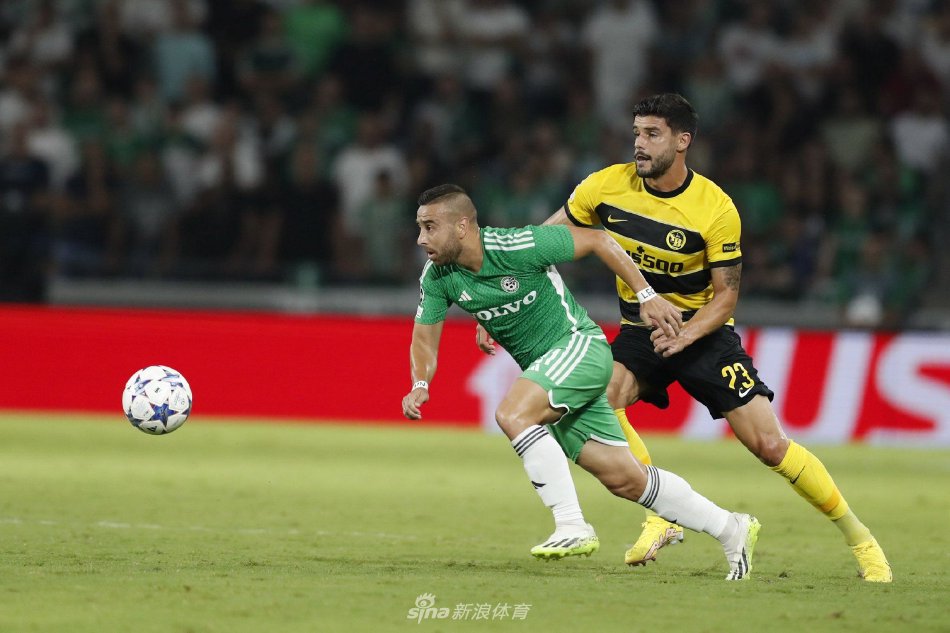 这篇文章我 这篇文章我